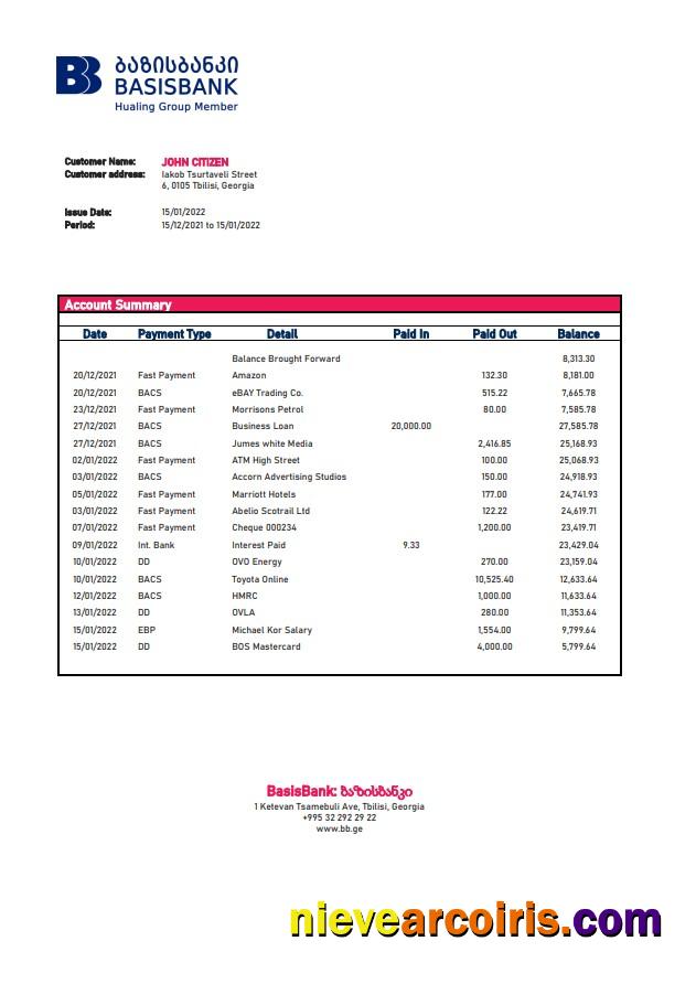 Georgia Basis Bank statement